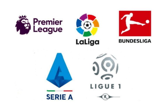 新任主教练 新任主教练